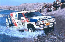 NISSAN Terrano 3L