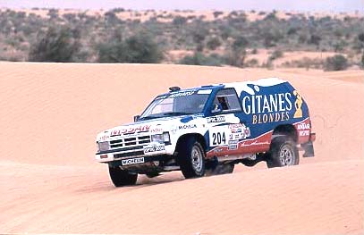 NISSAN Terrano 3L